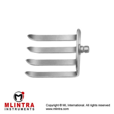 Caspar Lateral Blade Blade with 4 Prongs Stainless Steel, Blade Size 62 x 52 mm Caspar Lateral Blade Blade with 4 Prongs Stainless Steel, Blade Size 62 x 52 mm